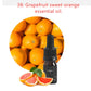 Aromatherapy Crystal & Essential Oil Gift Set – Natural Crystal Stone with Healing Scented Oils