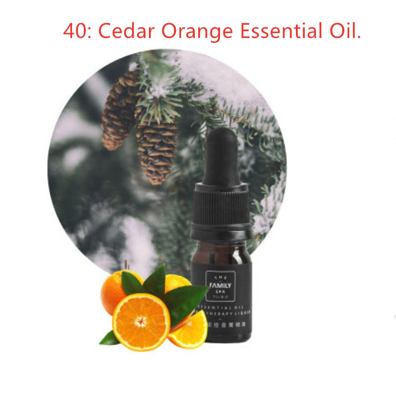 Aromatherapy Crystal & Essential Oil Gift Set – Natural Crystal Stone with Healing Scented Oils