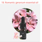 Aromatherapy Crystal & Essential Oil Gift Set – Natural Crystal Stone with Healing Scented Oils