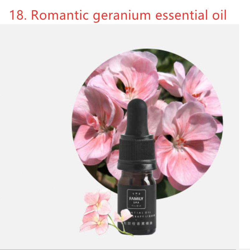 Aromatherapy Crystal & Essential Oil Gift Set – Natural Crystal Stone with Healing Scented Oils